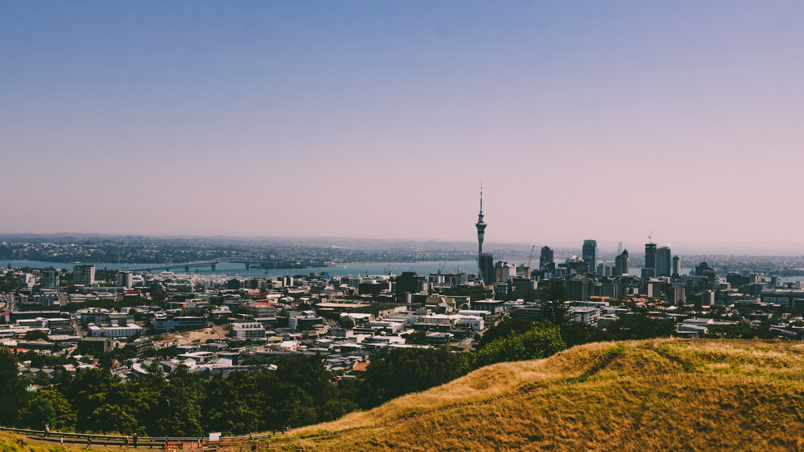 New Zealand cityscape
